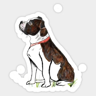 Brindle Staffordshire Bull Terrier Sticker